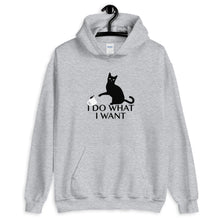 Load image into Gallery viewer, I Do What I Want Cat Unisex Hoodie